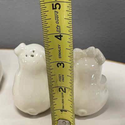 Piggy S&P with holder