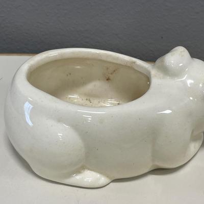 Piggy S&P with holder