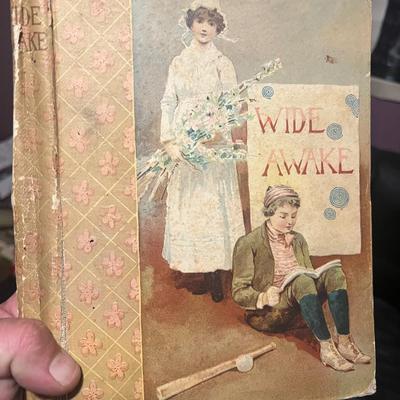 Sale Photo Thumbnail #68: Charming 19th-century illustrated juvenile book published by D. Lothrop Company, copyright 1888. Decorative pictorial boards featuring Victorian children’s artwork. Early American children’s literature collectible. Condition shows wear consistent with