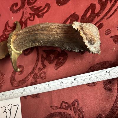 Bowie Knife with Stag Handle