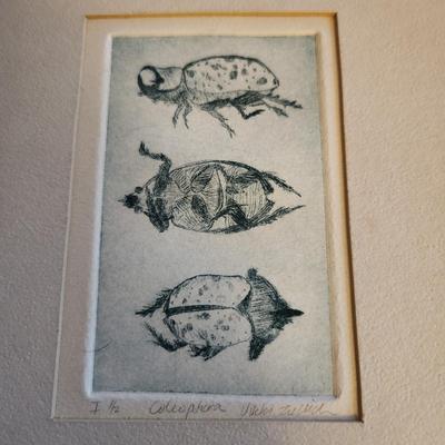 Sale Photo Thumbnail #451: This auction lot is for a Vintage Lithograph of a Coleoptera Insect.  Most probably done as a student project. This drypoint is quite unique and handsome. Measures about 6X7-inches, but mounted into a much larger hard cardboard matting.