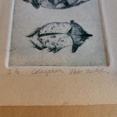 Sale Photo Thumbnail #453: This auction lot is for a Vintage Lithograph of a Coleoptera Insect.  Most probably done as a student project. This drypoint is quite unique and handsome. Measures about 6X7-inches, but mounted into a much larger hard cardboard matting.