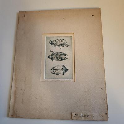 Sale Photo Thumbnail #450: This auction lot is for a Vintage Lithograph of a Coleoptera Insect.  Most probably done as a student project. This drypoint is quite unique and handsome. Measures about 6X7-inches, but mounted into a much larger hard cardboard matting.