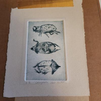 Sale Photo Thumbnail #452: This auction lot is for a Vintage Lithograph of a Coleoptera Insect.  Most probably done as a student project. This drypoint is quite unique and handsome. Measures about 6X7-inches, but mounted into a much larger hard cardboard matting.