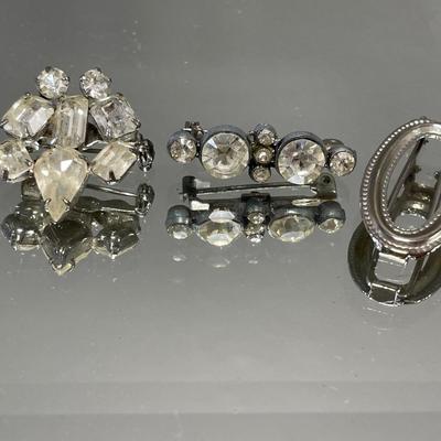 Hand painted earrings and rhinestone pins