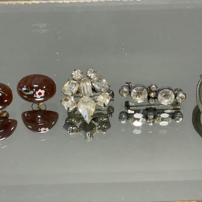 Hand painted earrings and rhinestone pins