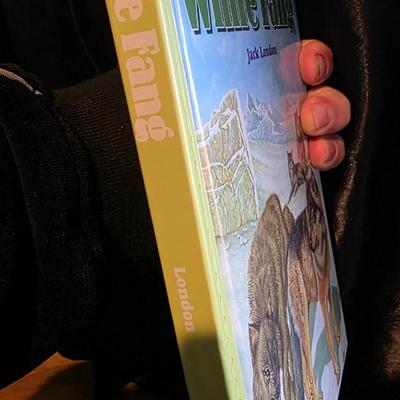 Treasury of Illustrated Classics – White Fang by Jack London – Original Hardcover Edition