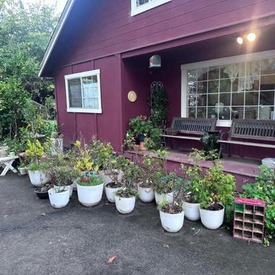 Sale Photo Thumbnail #239