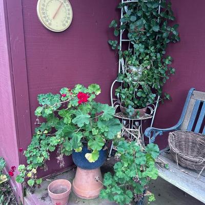 Sale Photo Thumbnail #243