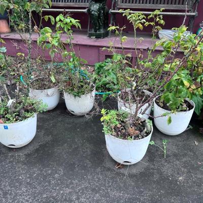 Sale Photo Thumbnail #247