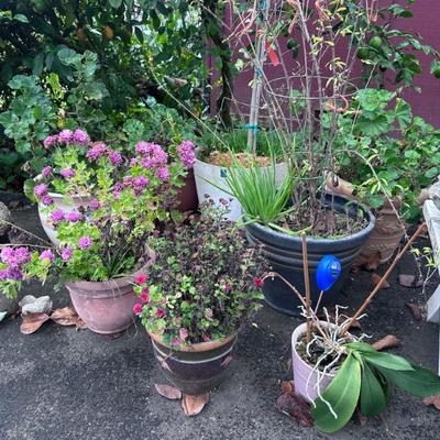 Sale Photo Thumbnail #256