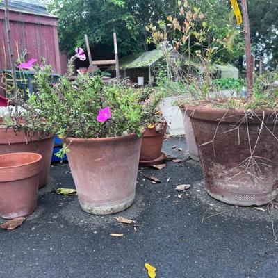 Sale Photo Thumbnail #279