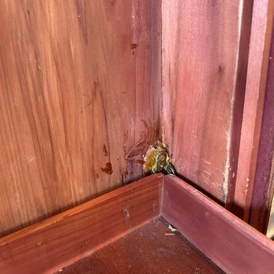 Roos “Sweetheart” Cedar Chest