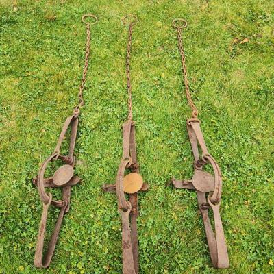 Sale Photo Thumbnail #26: Three vintage iron animal traps featuring attached chains. Each trap is constructed from heavy iron and displays wear from age and use, including rust and patina. The design includes trigger mechanisms and stamped markings on the pressure plates, with fai