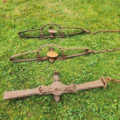 Sale Photo Thumbnail #27: Three vintage iron animal traps featuring attached chains. Each trap is constructed from heavy iron and displays wear from age and use, including rust and patina. The design includes trigger mechanisms and stamped markings on the pressure plates, with fai