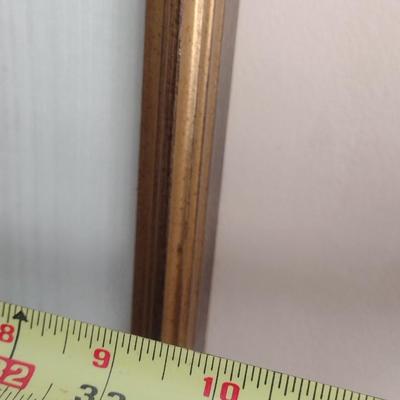 Framed Watercolor Art by Nechis