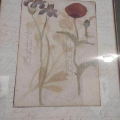 Framed Art Floral Print