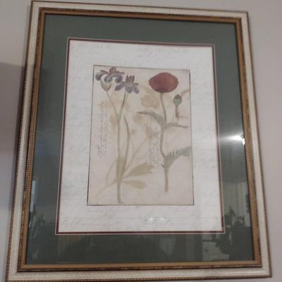 Framed Art Floral Print