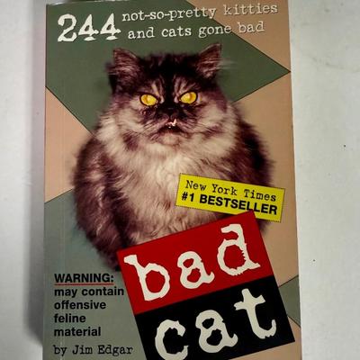 Sale Photo Thumbnail #579: Humorous collection of cat photos: Picket-sized, from 2004. Good condition.