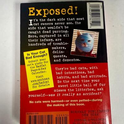 Sale Photo Thumbnail #580: Humorous collection of cat photos: Picket-sized, from 2004. Good condition.