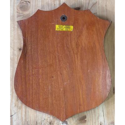 Vintage Vietnam Era 3d Aircraft Generation Squadron Wood Plaque USAF PACAF