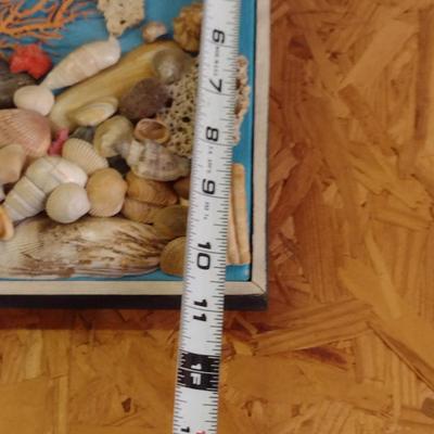 Ocean Theme Wall Decor with Real Seashells, Seahorses, etc.- Two Pieces