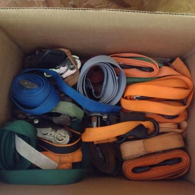 Collection of Tie Down Straps