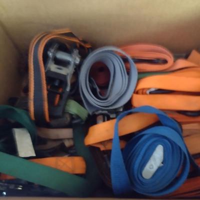 Collection of Tie Down Straps