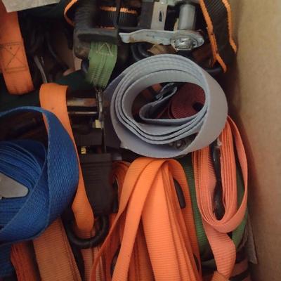 Collection of Tie Down Straps