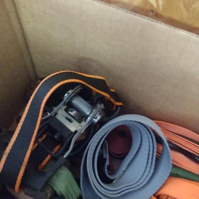 Collection of Tie Down Straps