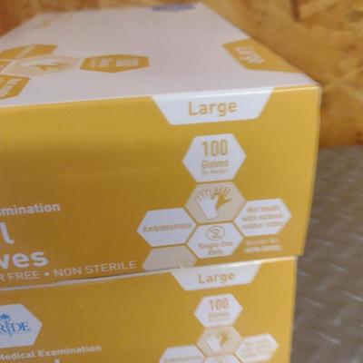 Vinyl Gloves- Size Large- 5 Boxes
