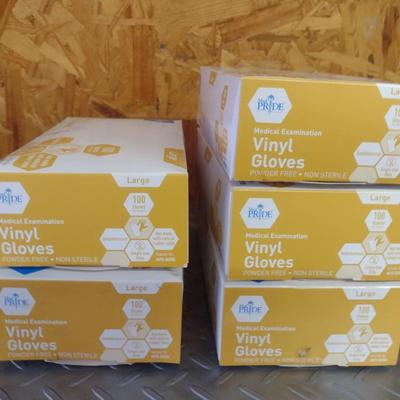 Vinyl Gloves- Size Large- 5 Boxes