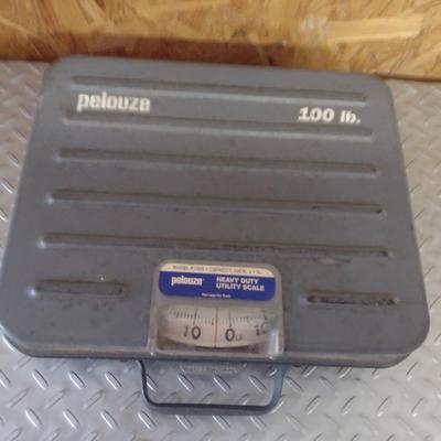 Pelouze Heavy Duty Utility Scale- 100 lb Capacity