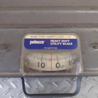 Pelouze Heavy Duty Utility Scale- 100 lb Capacity