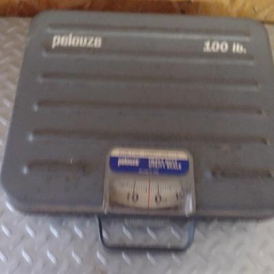Pelouze Heavy Duty Utility Scale- 100 lb Capacity