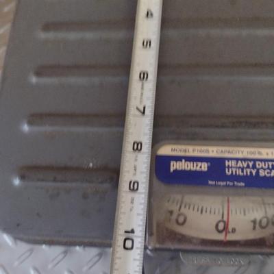 Pelouze Heavy Duty Utility Scale- 100 lb Capacity