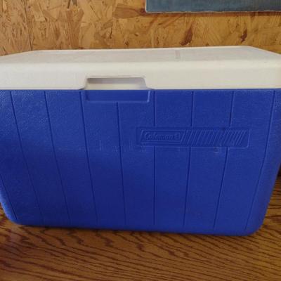 Collection of Coolers- Assorted Makers and Sizes