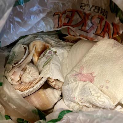 Sale Photo Thumbnail #337: 1 large box, 2 large bags of shells