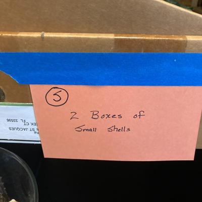 Sale Photo Thumbnail #347: Lot of 2 boxes shells.
smaller shells