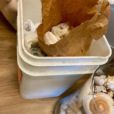 Sale Photo Thumbnail #351: 2 Large containers of Medium Shells
You are buying every item in the above photos