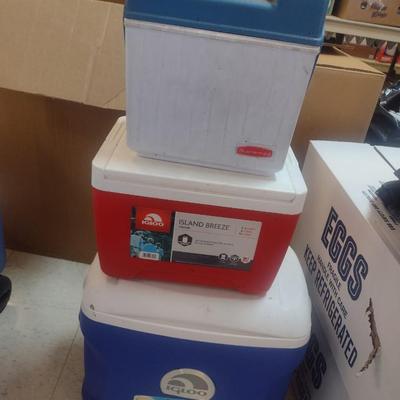 Set of Camping or Sporting Events Coolers Choice A