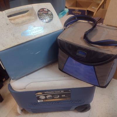 Set of Camping or Sporting Events Coolers Choice B