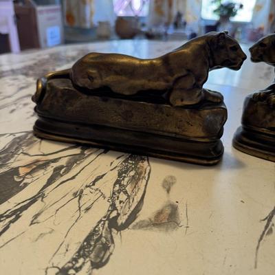 Cougar Book Ends