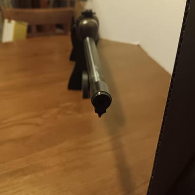 NEW RUGER .22 LONG RIFLE MODEL 10/22 COLORADO EDITION 356 OF 500 (Please read discription)