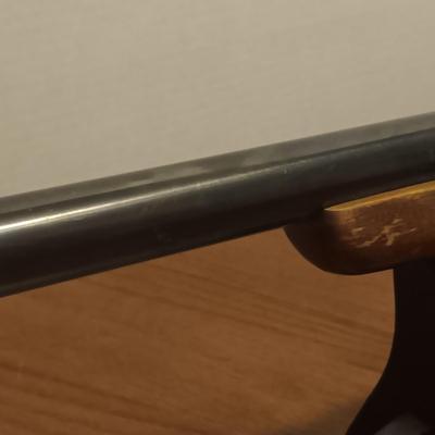 WINCHESTER MODEL 370 12 GAUGE