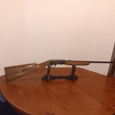 BROWNING 22 CAL LONG RIFLE