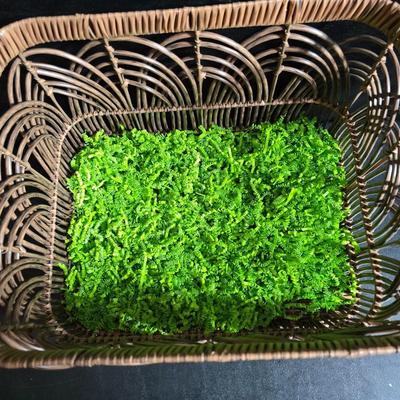 Antique Victorian miniature trunk with leaf embossed band - comes with two large baskets