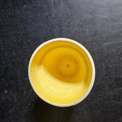 Plant / Flowerpots Three marked Haeger and a green thumb to encourage your growing skills. Royal Haeger