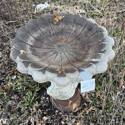 Bird Bath