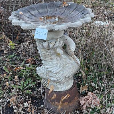 Bird Bath